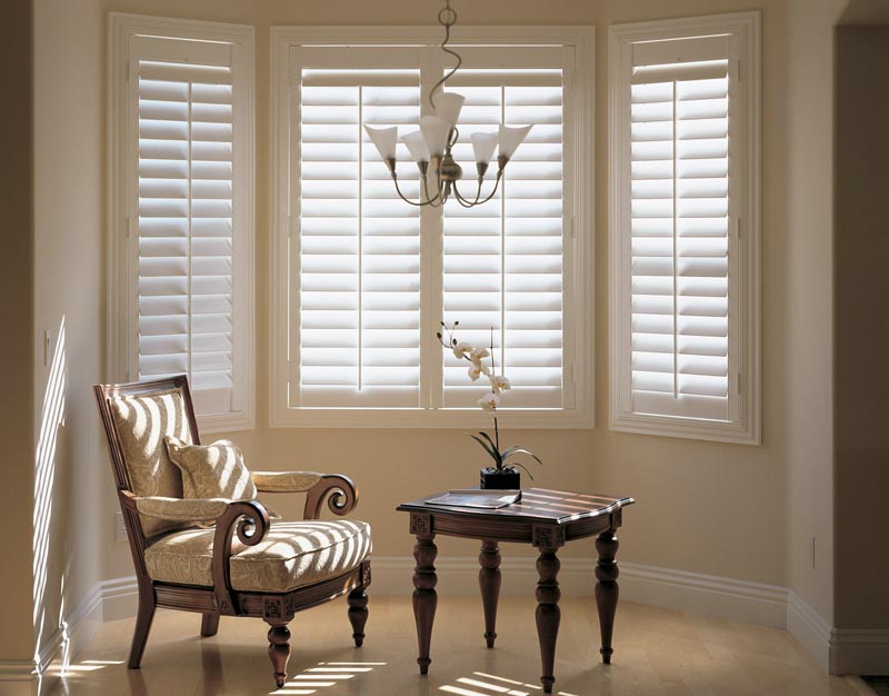 Blinds for Bay Window Ideas