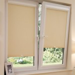 Roller Shades French Doors