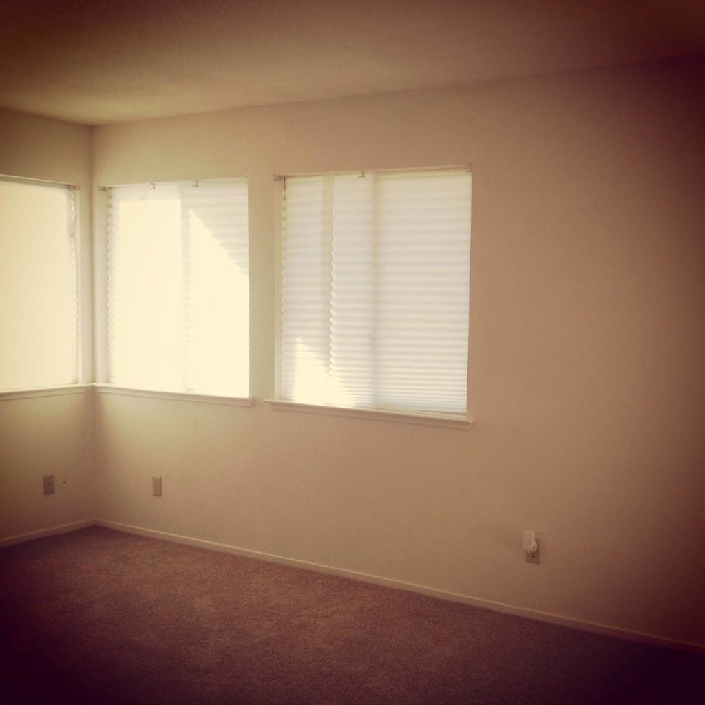 Paper pleated window shades window treatments design ideas